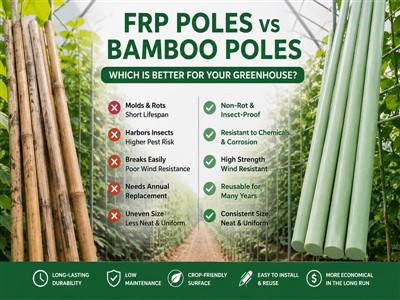 Essential Guide For Farmers – FRP Poles Vs. Bamboo Poles: Which To Choose?