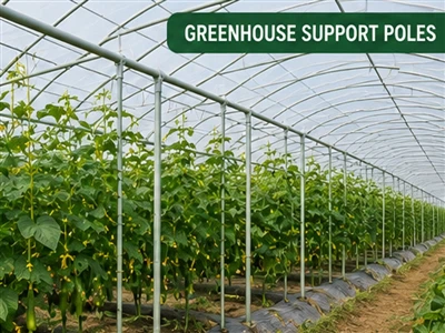 FRP Profile Customization Guide – Tailored Solutions For Agriculture And Indu...