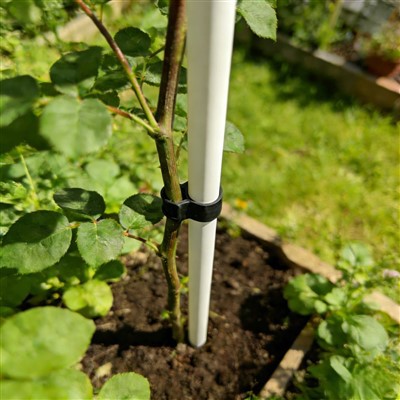Fiberglass Garden Training Stakes