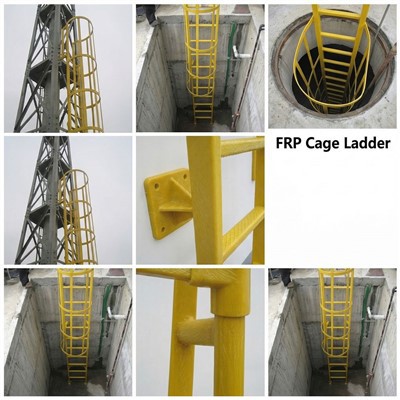 FRP Cage Ladder